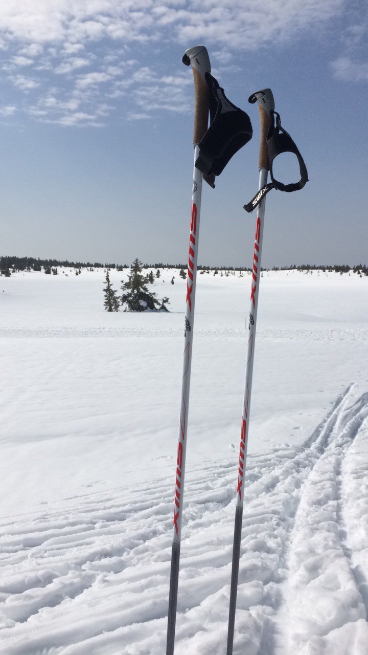 Informasjonsbrev nr. 14